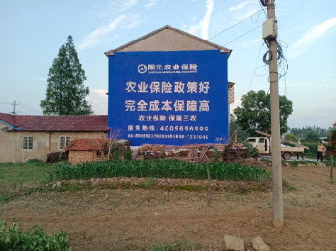 汝城墙体广告的优劣势你知道吗？